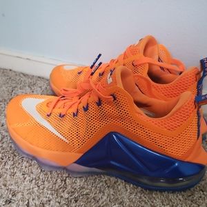 NIKE, LeBron James limited edition Earned shoes 9